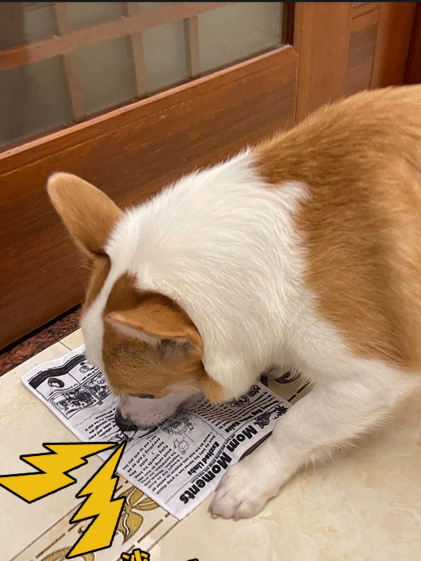 Newspaper Style Pet Sound Toy nicholesgifts