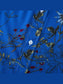 Men's Plus Size Floral Print Short Sleeve Button Down Casual Shirt nicholesgifts