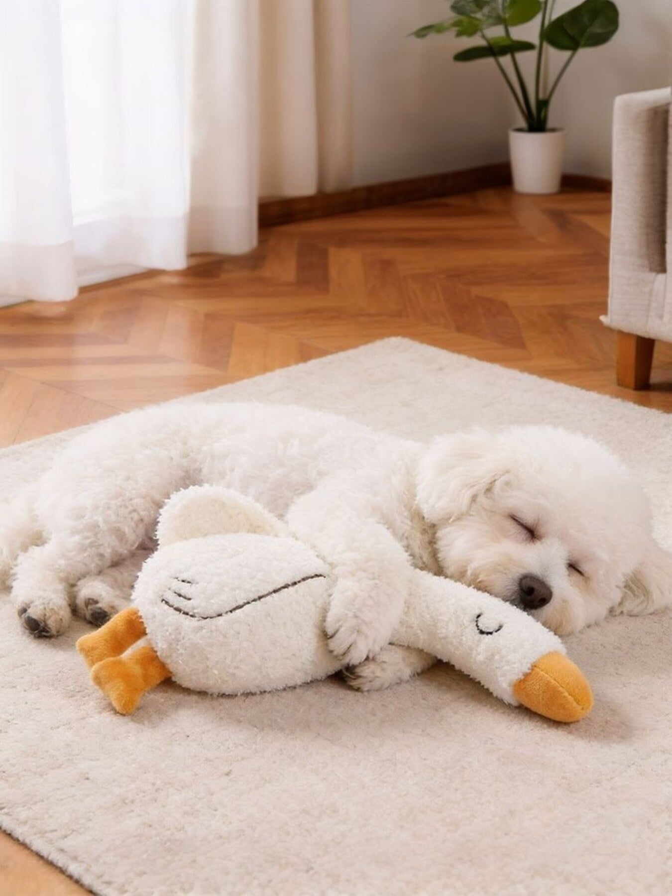 Duck & Fox Design Pet Plush Toys nicholesgifts