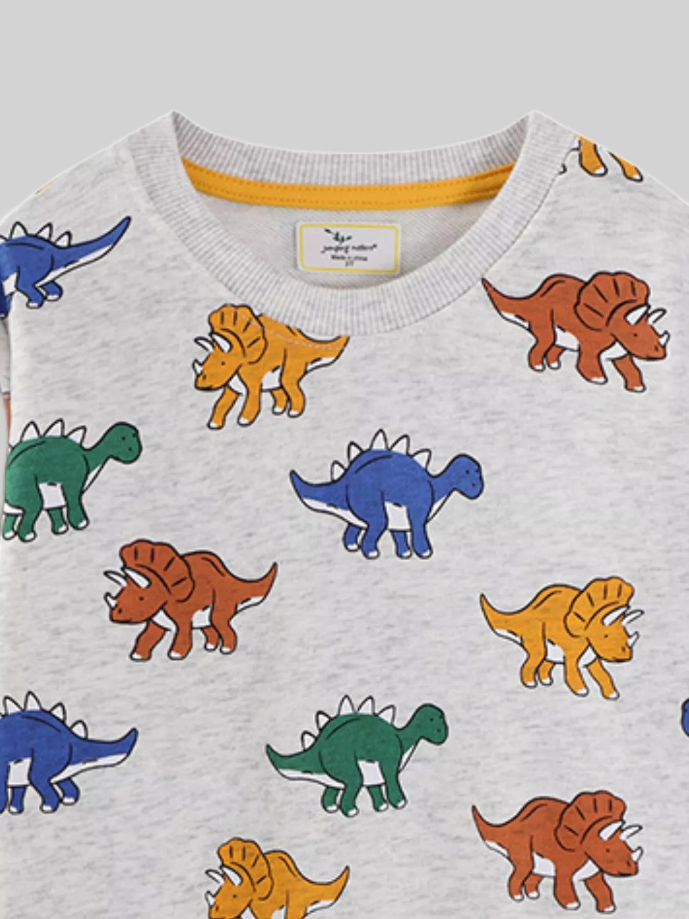 Toddler Boys Dinosaur Print Crew Neck Sweatshirt nicholesgifts