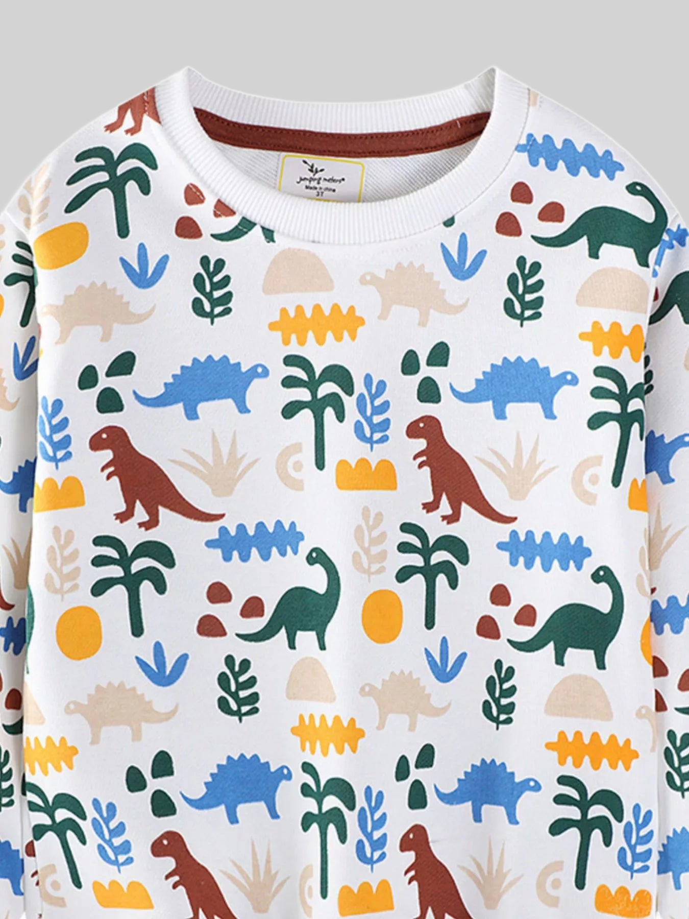 Toddler Boys Dinosaur Print Crew Neck Sweatshirt nicholesgifts