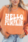 Round Neck Dropped Shoulder HELLO PUMPKIN Graphic Sweatshirt nicholesgifts