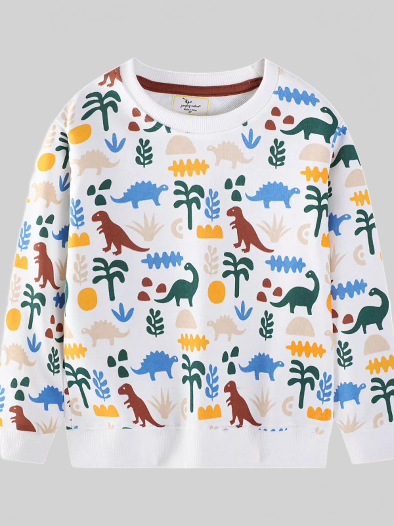Toddler Boys Dinosaur Print Crew Neck Sweatshirt nicholesgifts